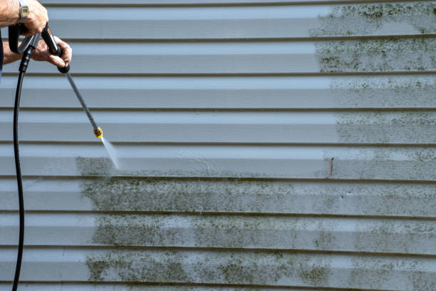 Shed Removal in Coal Creek, CO